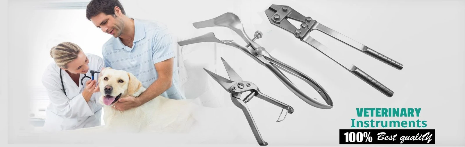 Veterinary Instruments